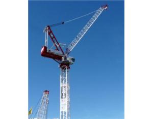 Luffing  Tower Crane STL720-50t