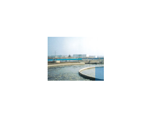 Organic wastewater treatment