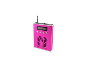 Micro SD card speaker with radio D-120
