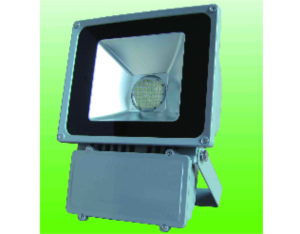 LED Floodlight