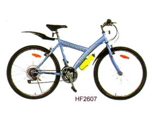 bicycle H654