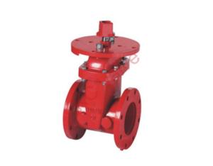 gate valve