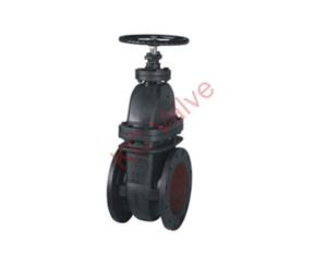 gate valve