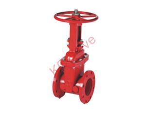 gate valve