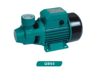 Vortex Water Pump