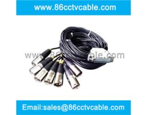 DB25 Multipin to 8 XLR 3-pin Cable