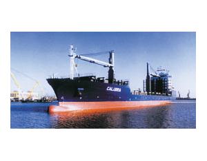 container vessel