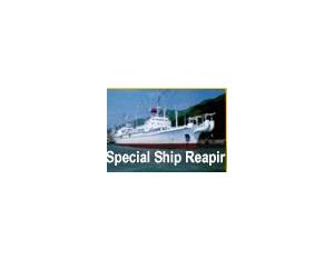 special ship repair