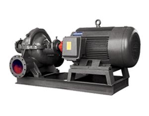 Sh S SA series double suction pump in the open