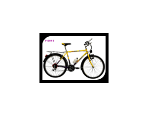 BICYCLE  NORMAL MTB F1004-3