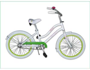 Adult Bicycle LSC-16129