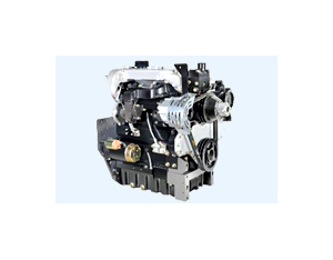 Lovol 1000 Diesel engine - Tractor