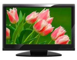 LED TV LC22S96