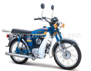 Motorcycle TH100A