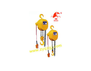 Dh Serise Low Speed Chain Electric Hoists