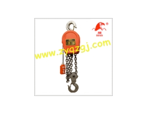 DHS Series Chain Electric Hoists