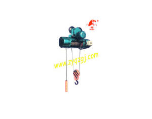 Electric Hoist (CD1/MD1)