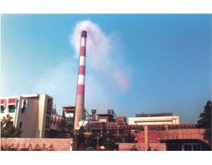 Complete picture of Anhui Anqing Petrochemical Thermal Power Project