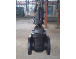 cast iron gate valve OS&Y