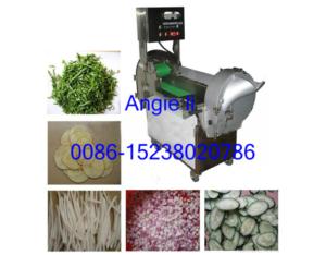 Multifunction Vegetable slicer