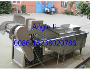 Vegetable and fruit washing machine