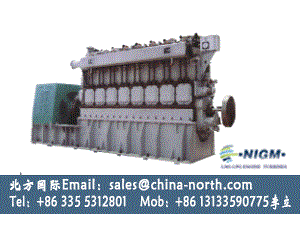 gas generator,dual fuel gas generator,natural gas generator