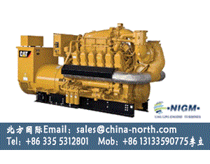 gas generator,gas engine,dual fuel gas generator,biogas generator