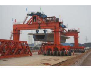 MDEL Series Straddle Carriers