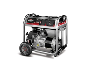 6000 Watt Portable Generator