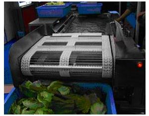 OTHER FRUIT/VEGETABLE PROCESS PLANT/MACHINERY