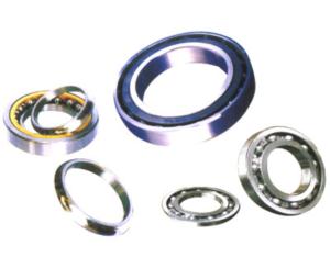 Rolling Bearing