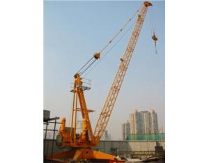 Derrick Tower Crane   QD10