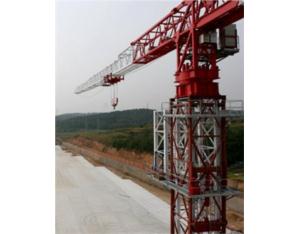 Topless Tower Crane STT753-32t