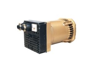 SELF-EXCITED BRUSHLESS GENERATOR-T1