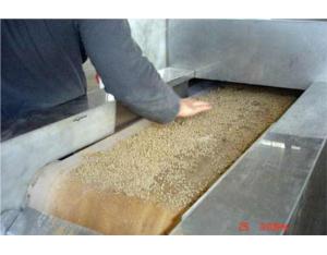 Microwave agricultural products drying equipment