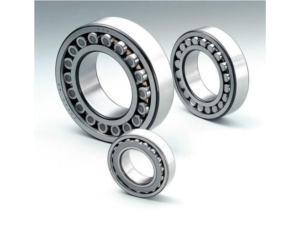 Cylindrical Roller Bearings