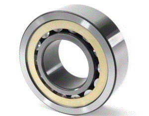 Cylindrical Roller Bearings