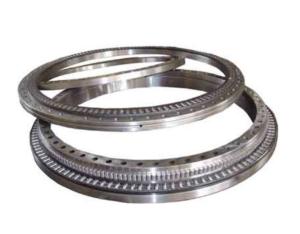 Slewing Bearings