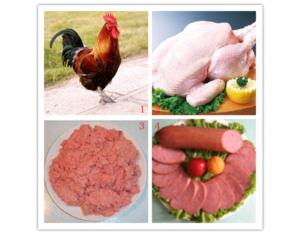 2014 China stainless steel chicken meat separator