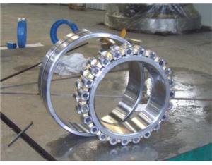 double-row cylindrical roller bearings