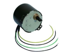 Synchronous Motor #6007,110V/220V,1~200RPM,CW/CCW