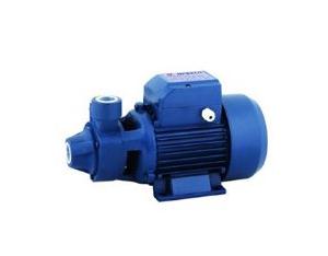 Vortex pump QB60