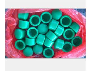 Injection molding End cap PPR fitting mould