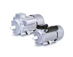 Single-phase Electric Motor- YCL