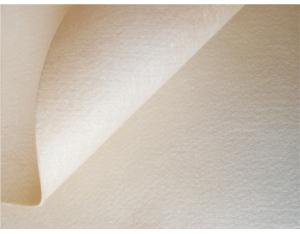  ryton bag filter cloth