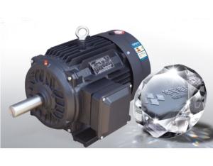 Y3 Series Three-phase Induction Motor