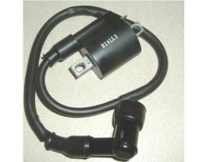 CDI Ignition Coil for Motorcycle Assembly, Nice Qu