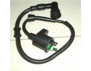 CDI Ignition Coil for Motorcycle Assembly, Nice Qu