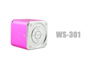 WS-301