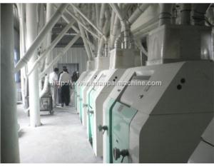 wheat milling factory,wheat plant